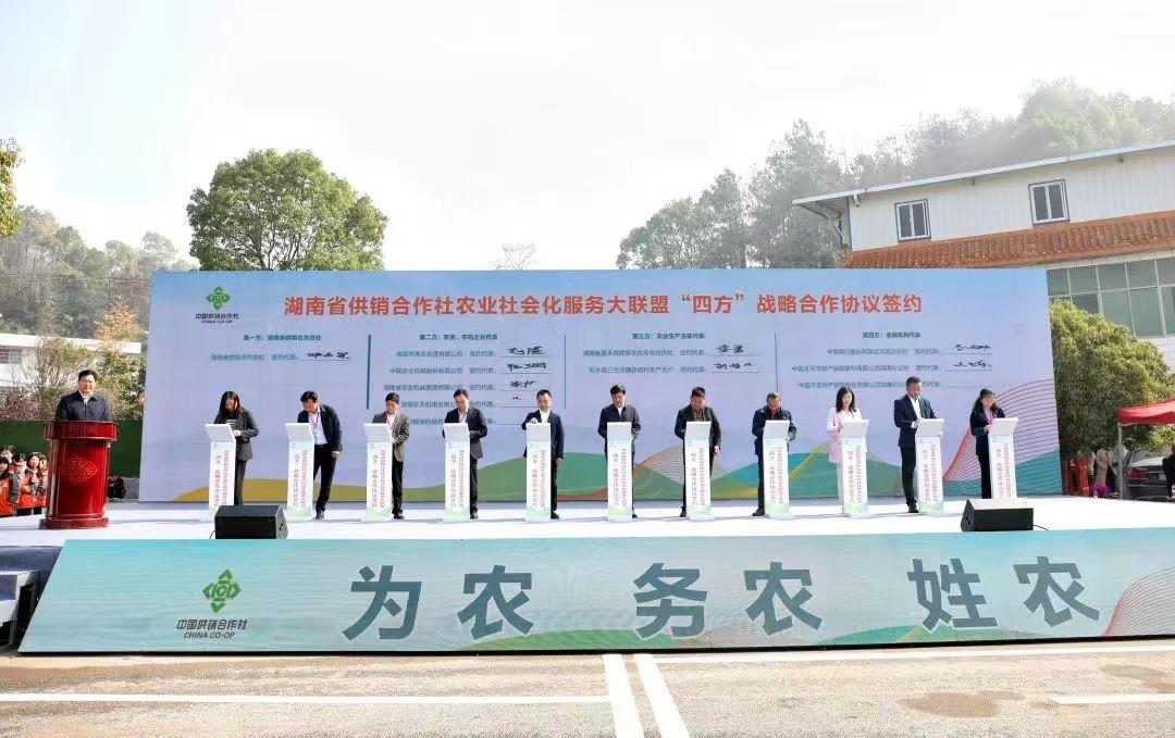 凯时K66·(中国区)官方网站