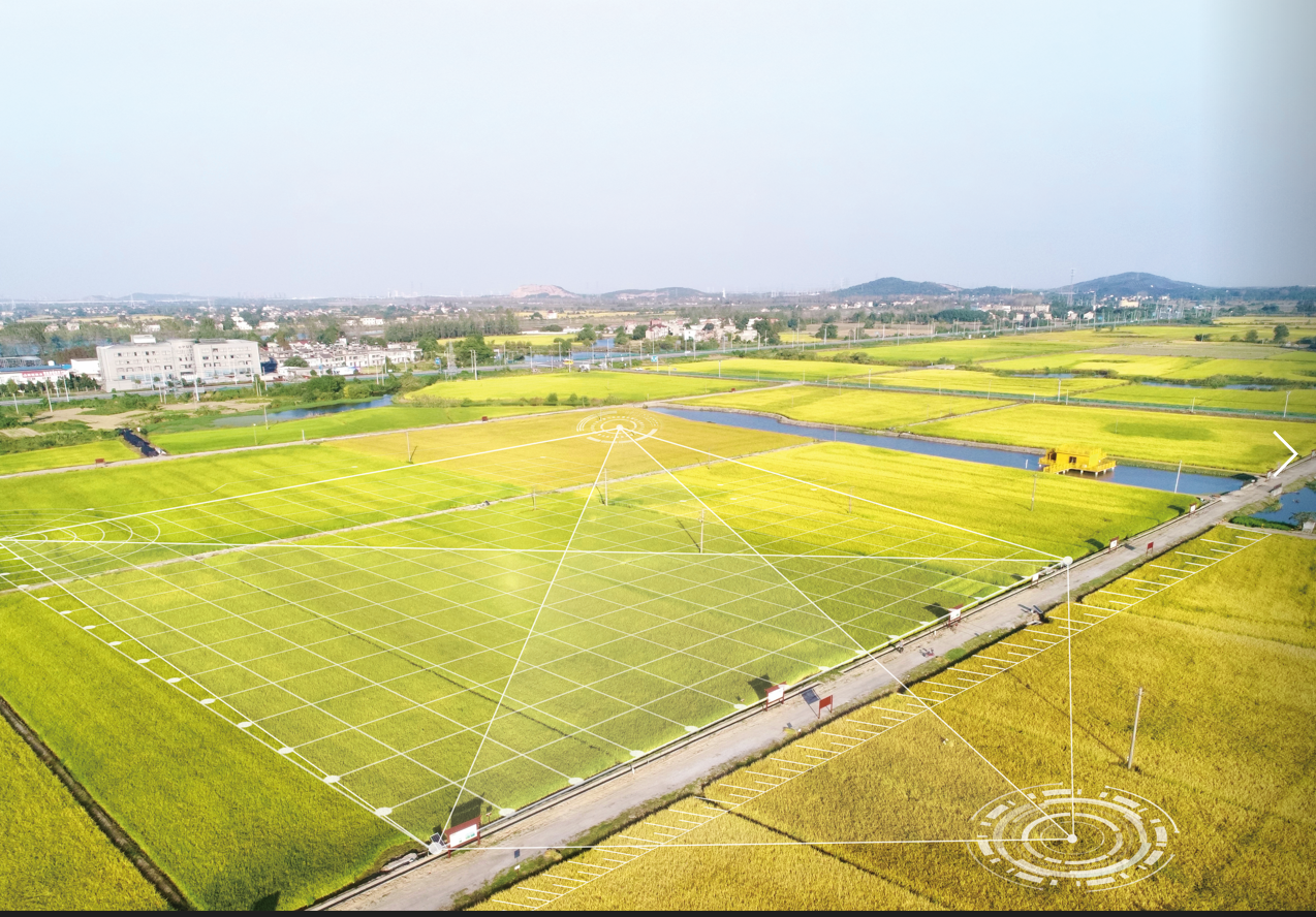 凯时K66·(中国区)官方网站