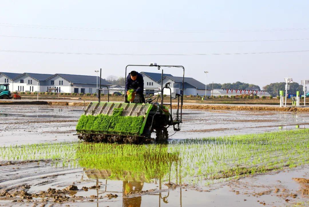 凯时K66·(中国区)官方网站
