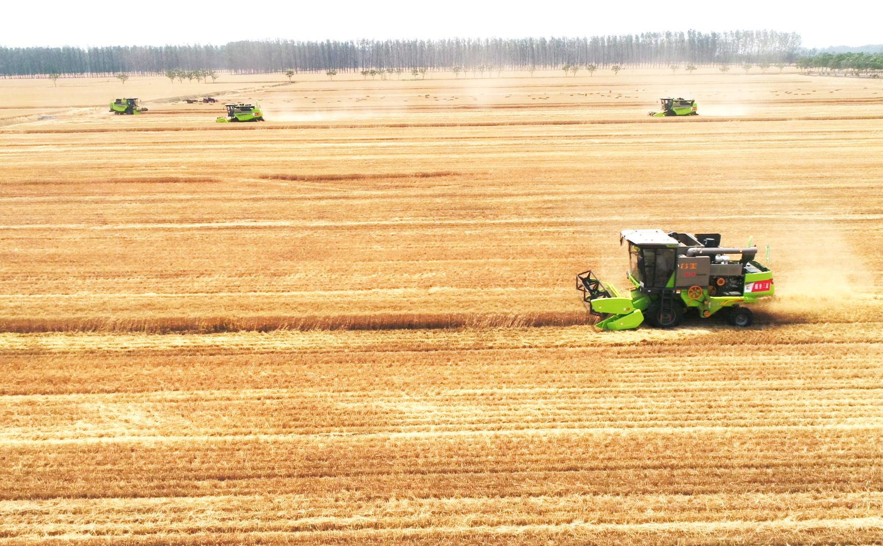 凯时K66·(中国区)官方网站